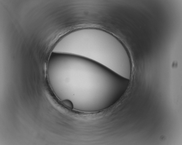 X0000110720013200906121258