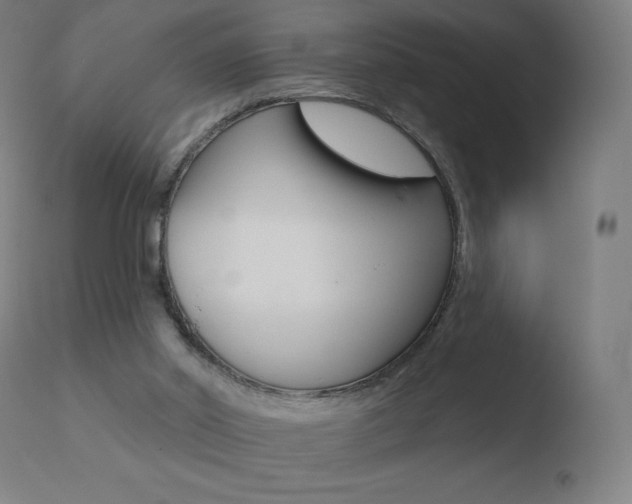 X0000110720014200906121258