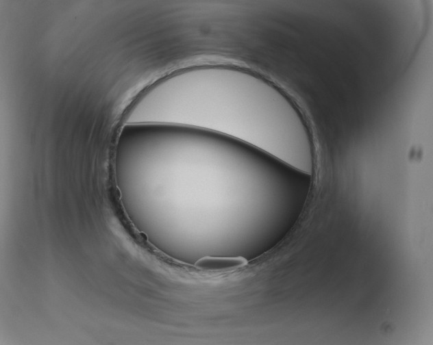 X0000110720015200906121258