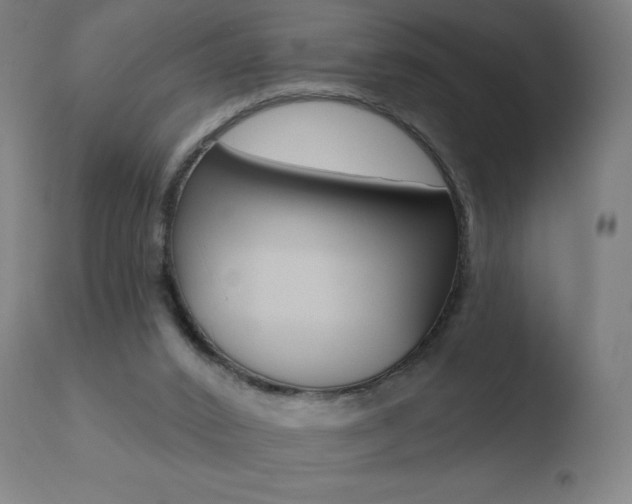 X0000110720016200906121258