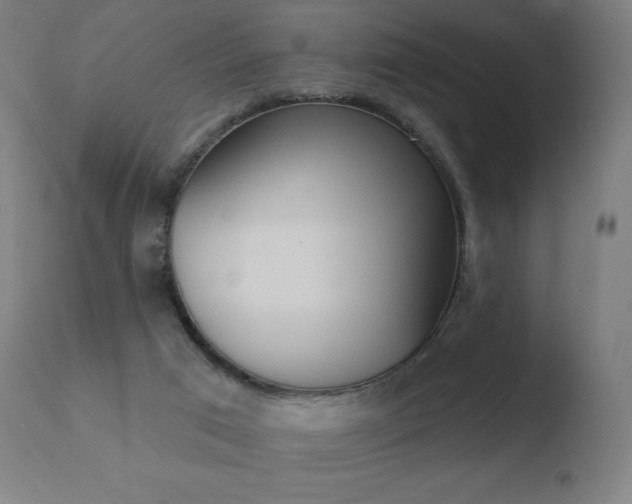 X0000110720017200906121258