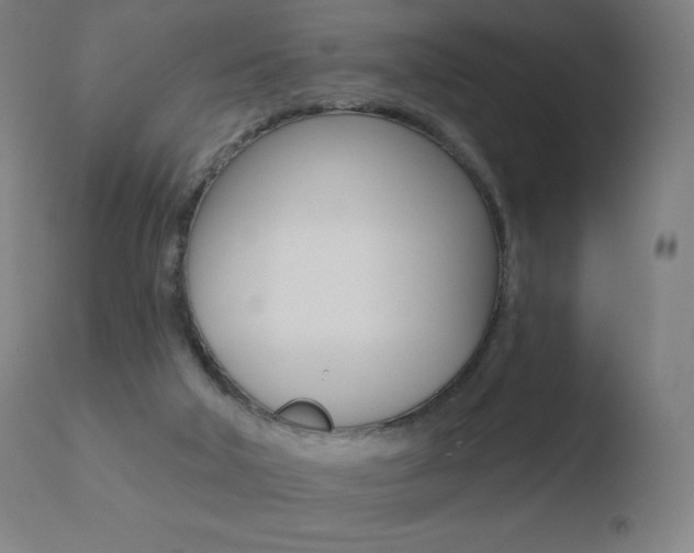X0000110720018200906121258