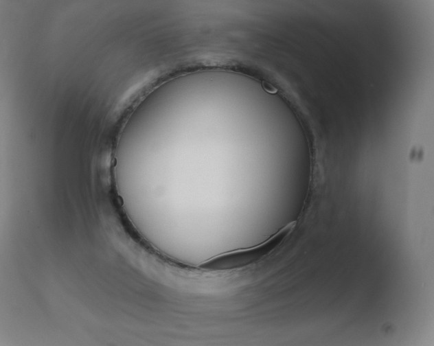 X0000110720019200906121258
