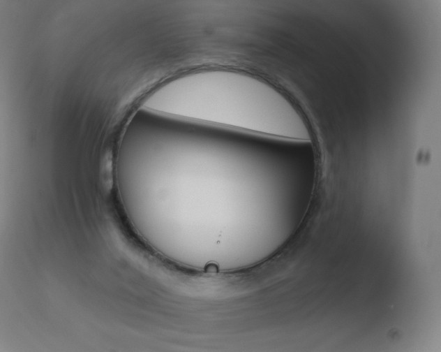 X0000110720020200906121258