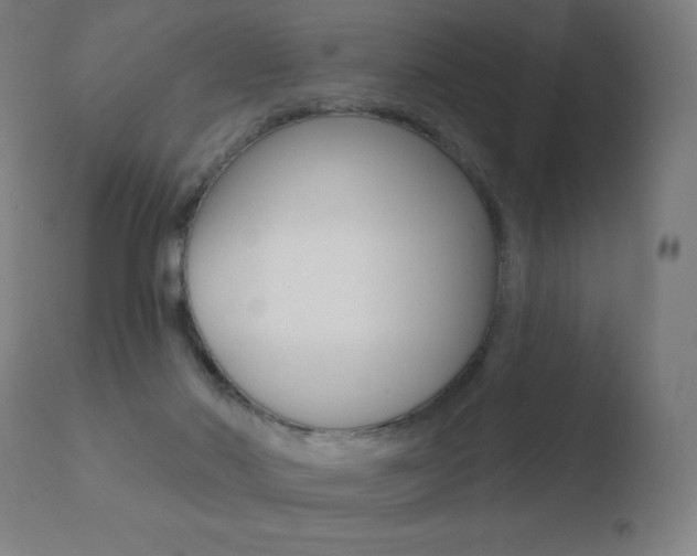 X0000110720022200906121258