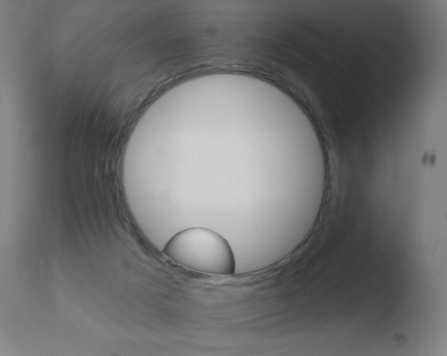 X0000110720025200906121258