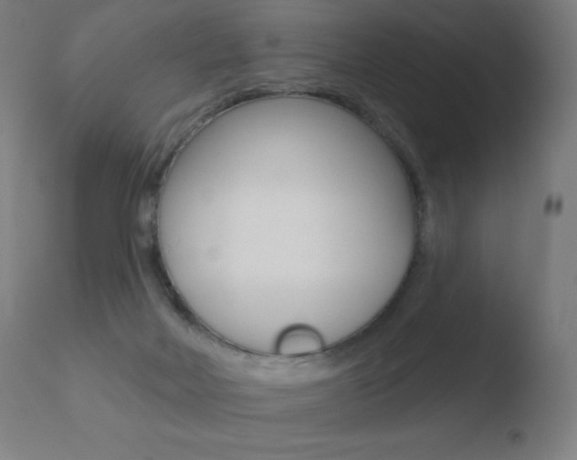 X0000110720026200906121258