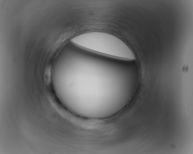 X0000110720028200906121258