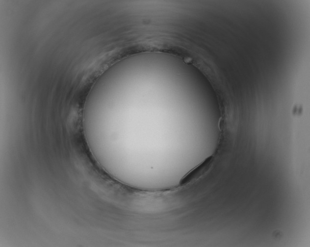 X0000110720029200906121258