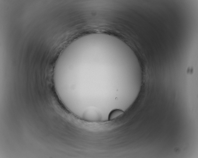 X0000110720030200906121258