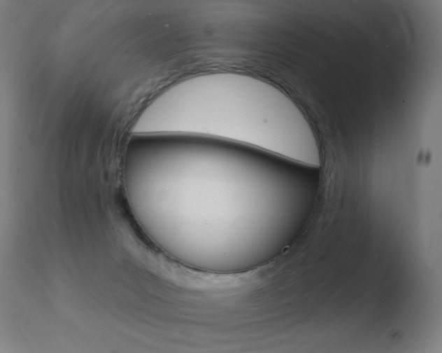 X0000110720031200906121258