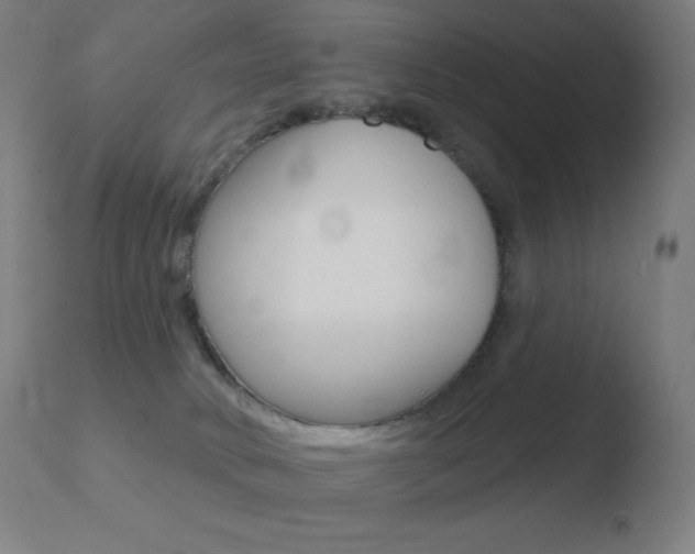 X0000110720034200906121258