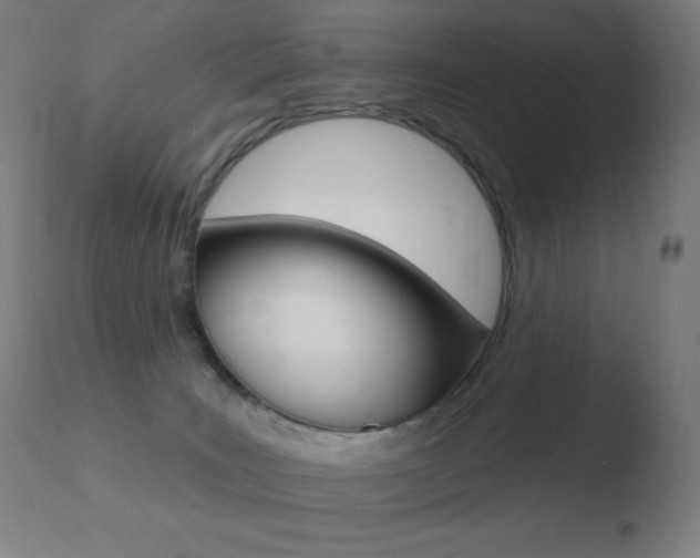 X0000110720035200906121258