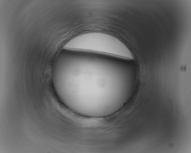 X0000110720036200906121258