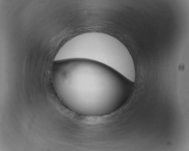 X0000110720037200906121258