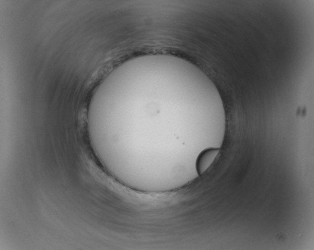 X0000110720038200906121258