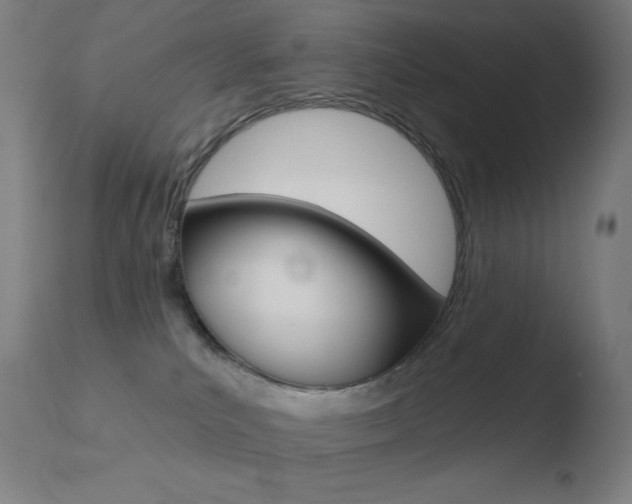 X0000110720039200906121258