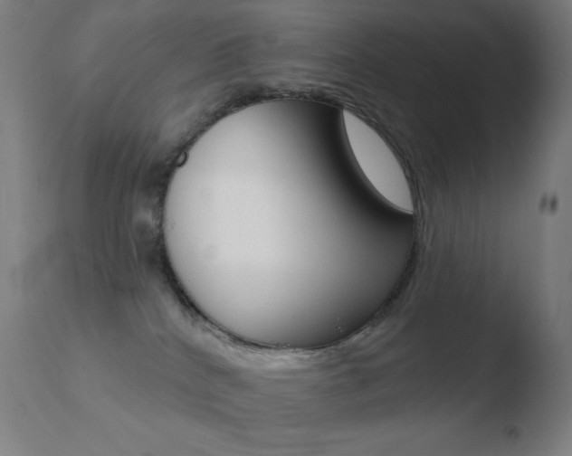 X0000110720040200906121258