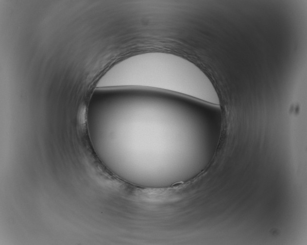 X0000110720041200906121258