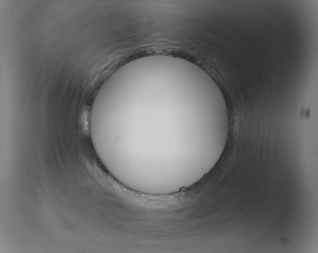 X0000110720042200906121257