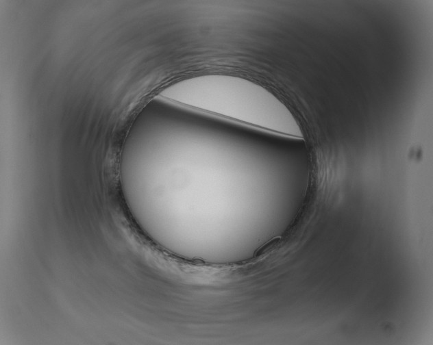 X0000110720044200906121257