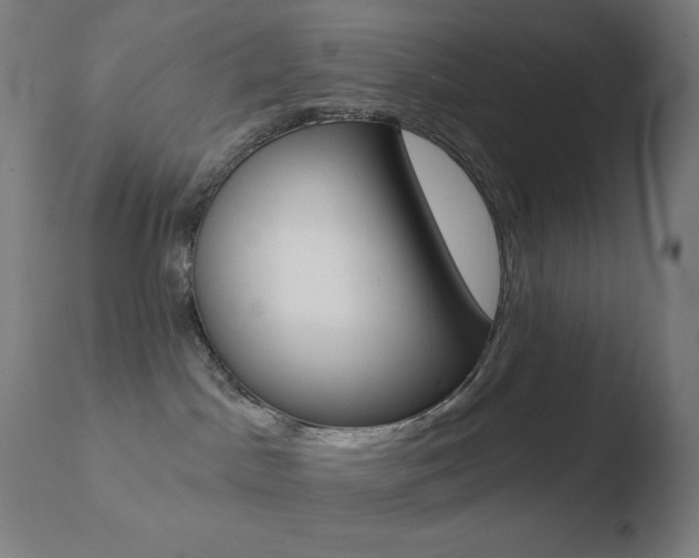 X0000110720045200906121257