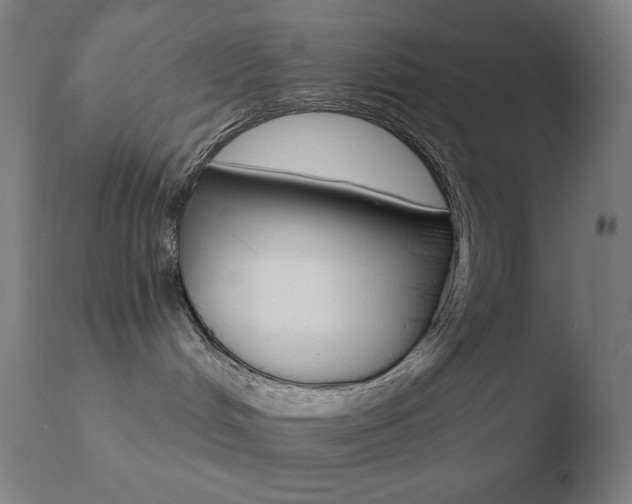 X0000110720048200906121257