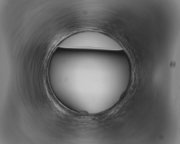 X0000110720049200906121257