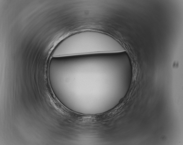 X0000110720050200906121257