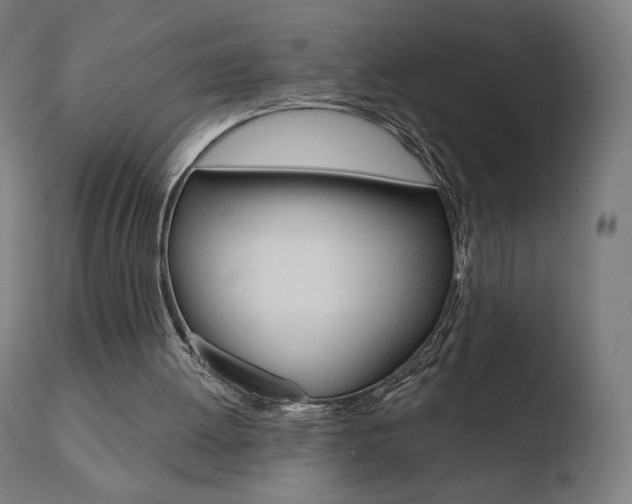 X0000110720052200906121257
