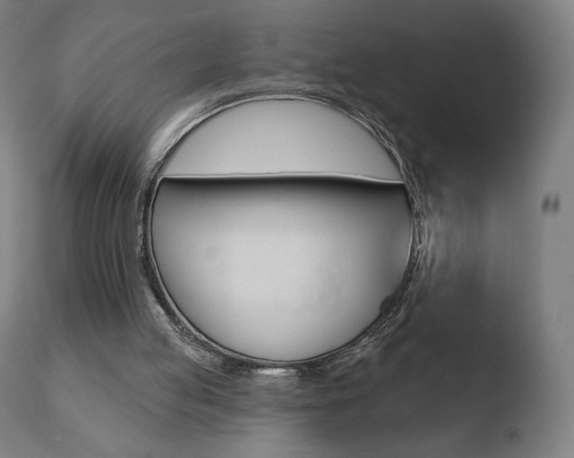 X0000110720053200906121257