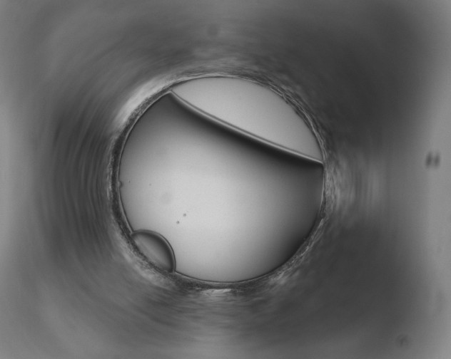 X0000110720054200906121257