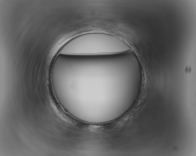 X0000110720055200906121257