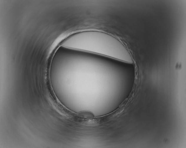 X0000110720056200906121257