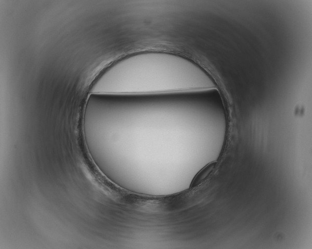 X0000110720058200906121257