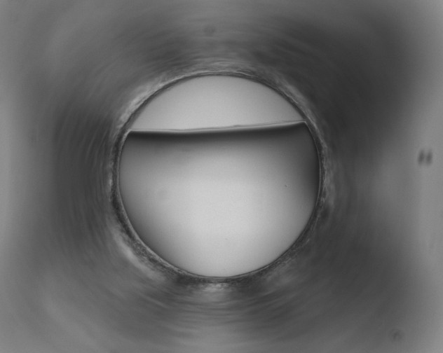X0000110720059200906121257