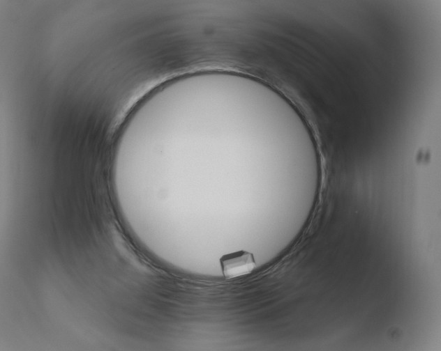 X0000110720060200906121257