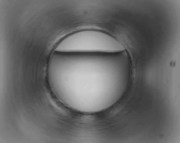 X0000110720063200906121257