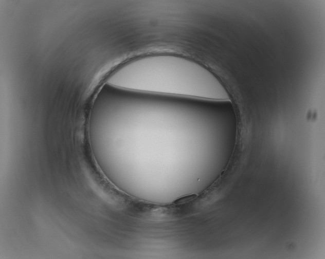 X0000110720064200906121257