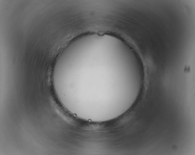 X0000110720065200906121257