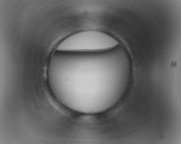 X0000110720067200906121257