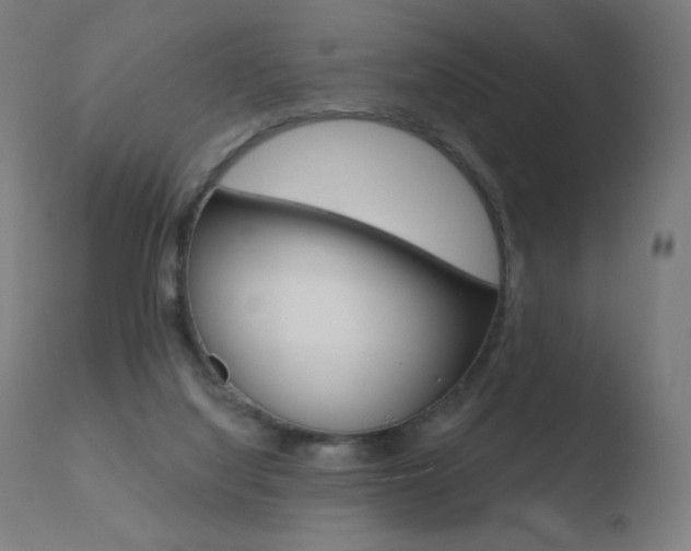 X0000110720068200906121257