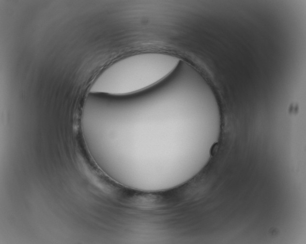 X0000110720069200906121257