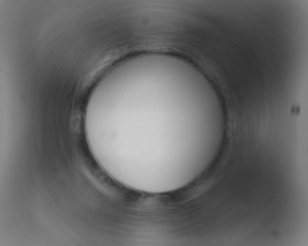 X0000110720072200906121257