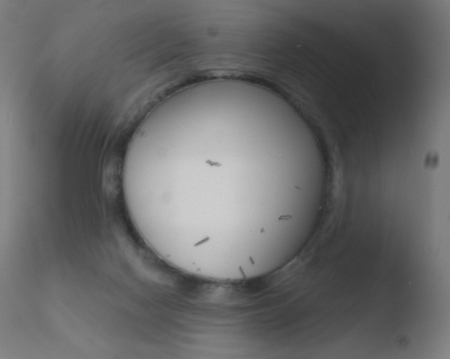 X0000110720074200906121257