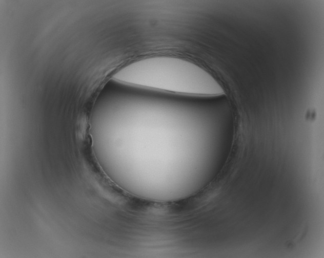 X0000110720076200906121257