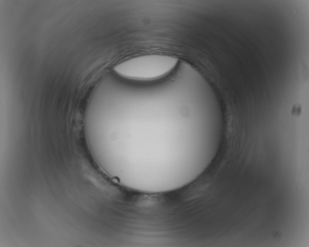 X0000110720077200906121257