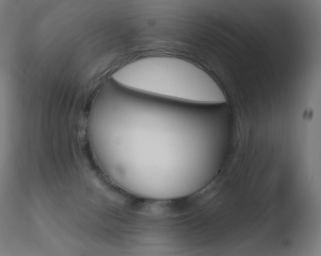 X0000110720078200906121257