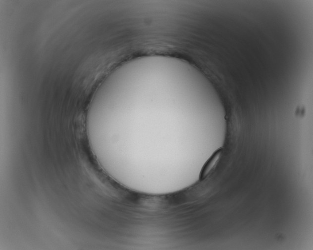 X0000110720079200906121257