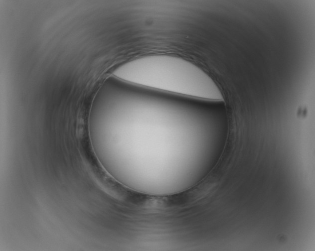X0000110720080200906121257